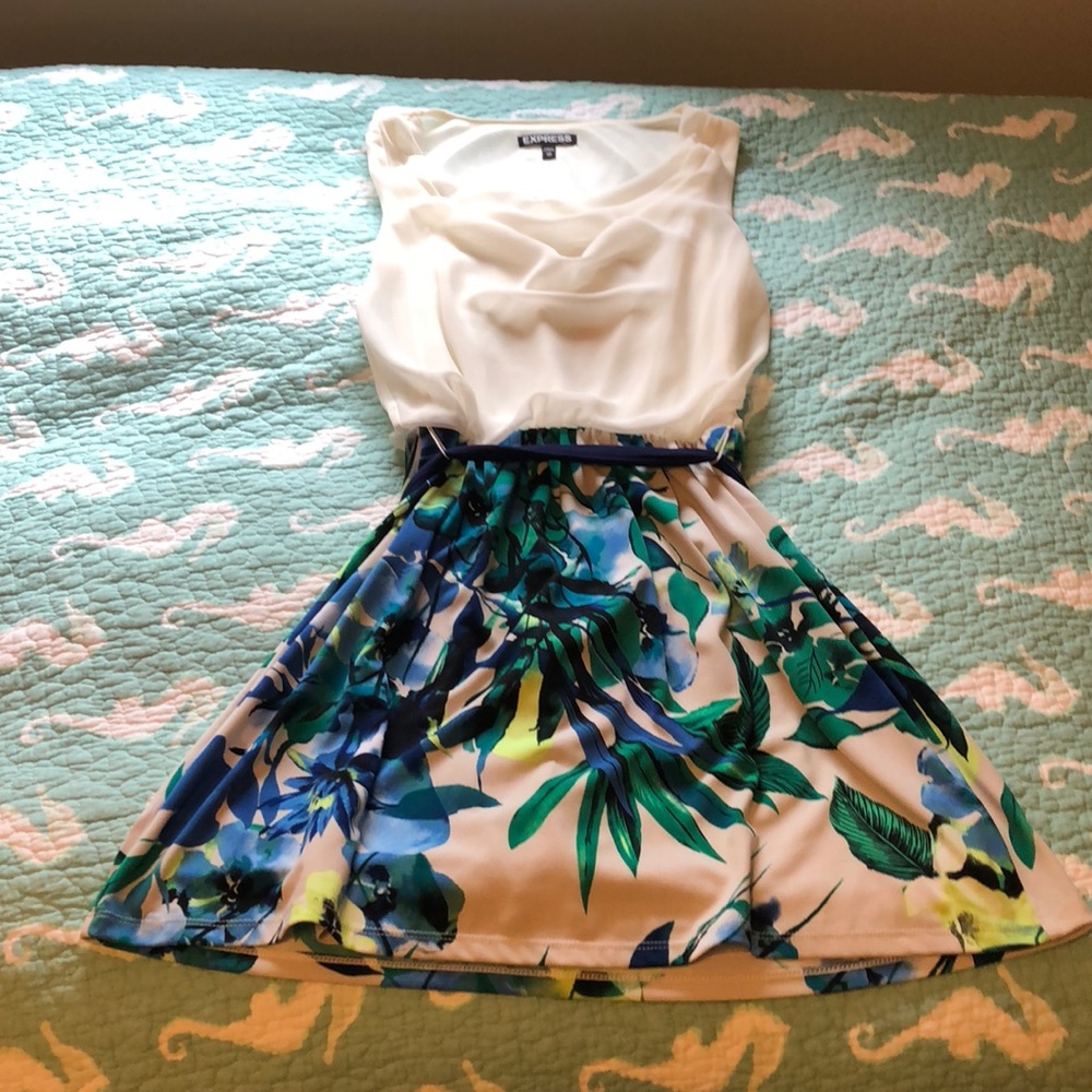 ONLY WORN ONCE EXPRESS DRESS